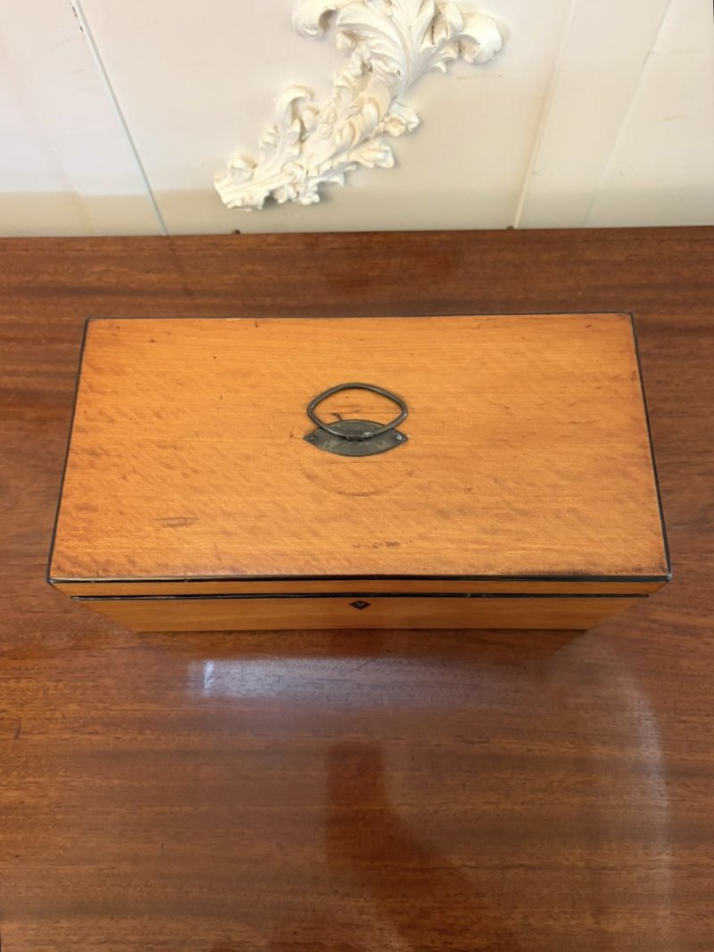 Antique Georgian Satinwood Tea Caddy Box with Original Glass Bowl and Mixing Stick - Image 6